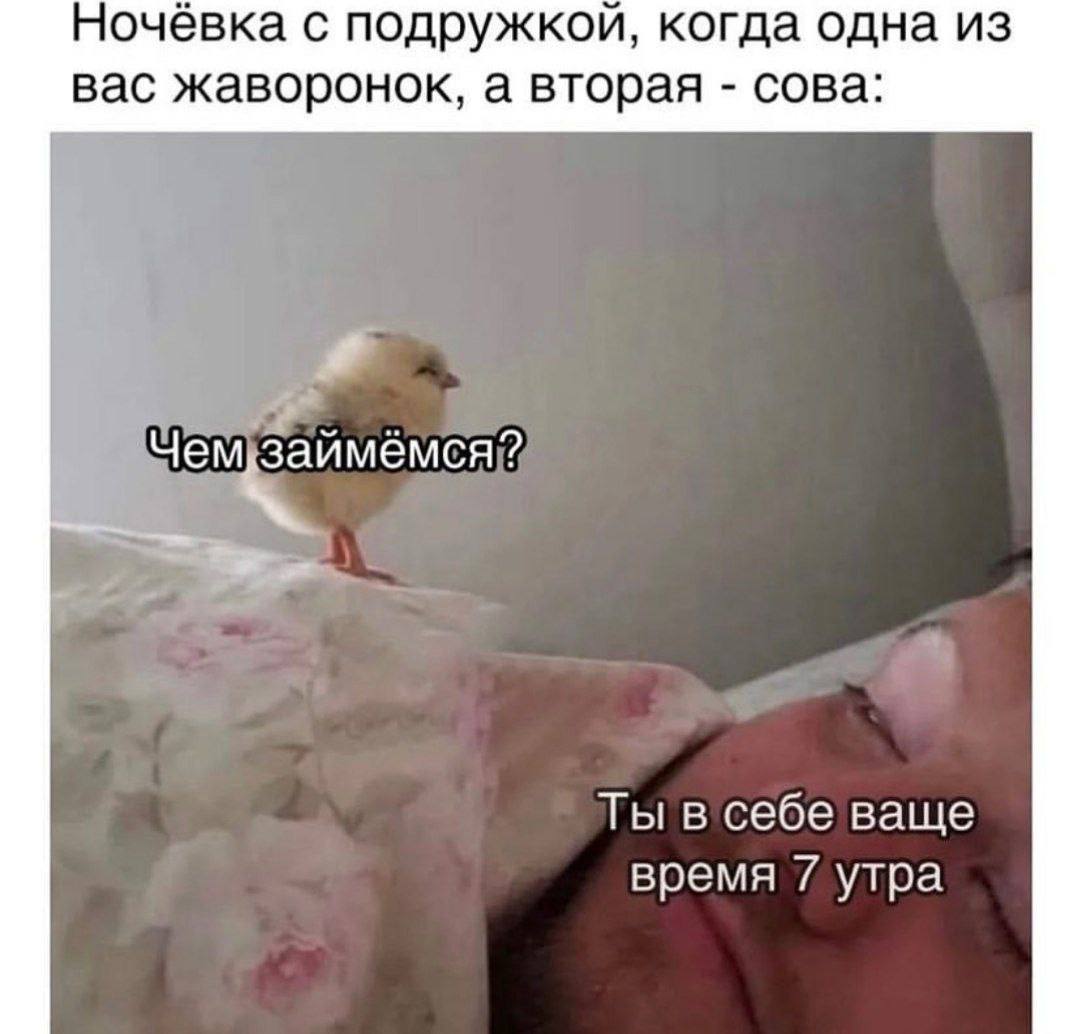 Ночёвка с подружкой, когда одна из вас жаворонок, а вторая сова: Чем, Ты в себе ваще время 7 утра