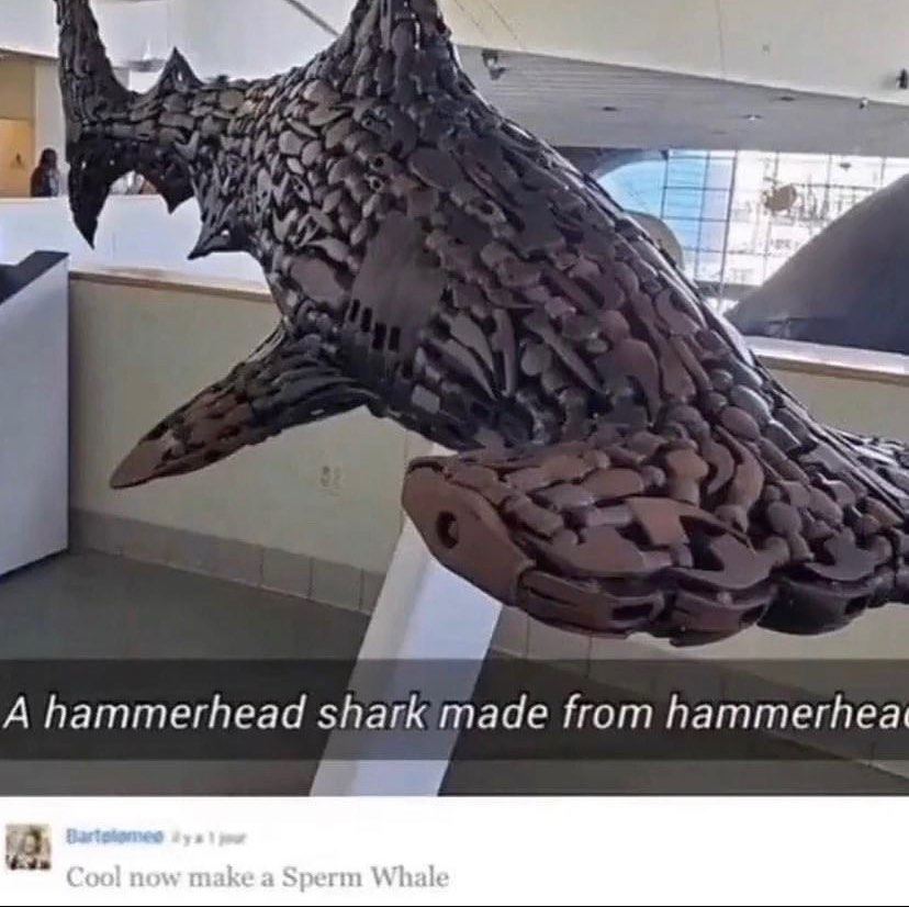A hammerhead shark made from hammerhea a