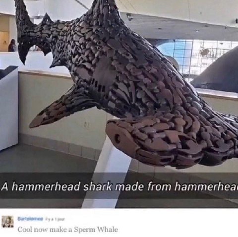 A hammerhead shark made from hammerhea a