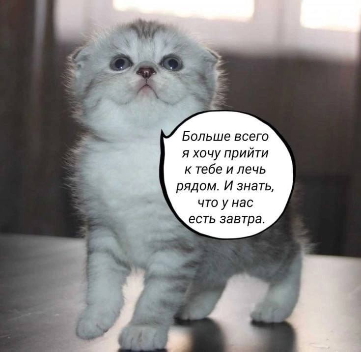 Больше всего я хочу прийти к тебе и лечь рядом. И знать, что у нас есть завтра.