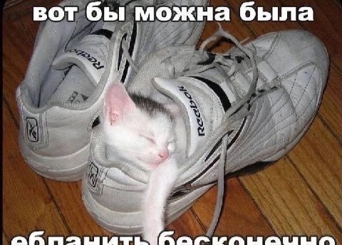 вот бы можна была
