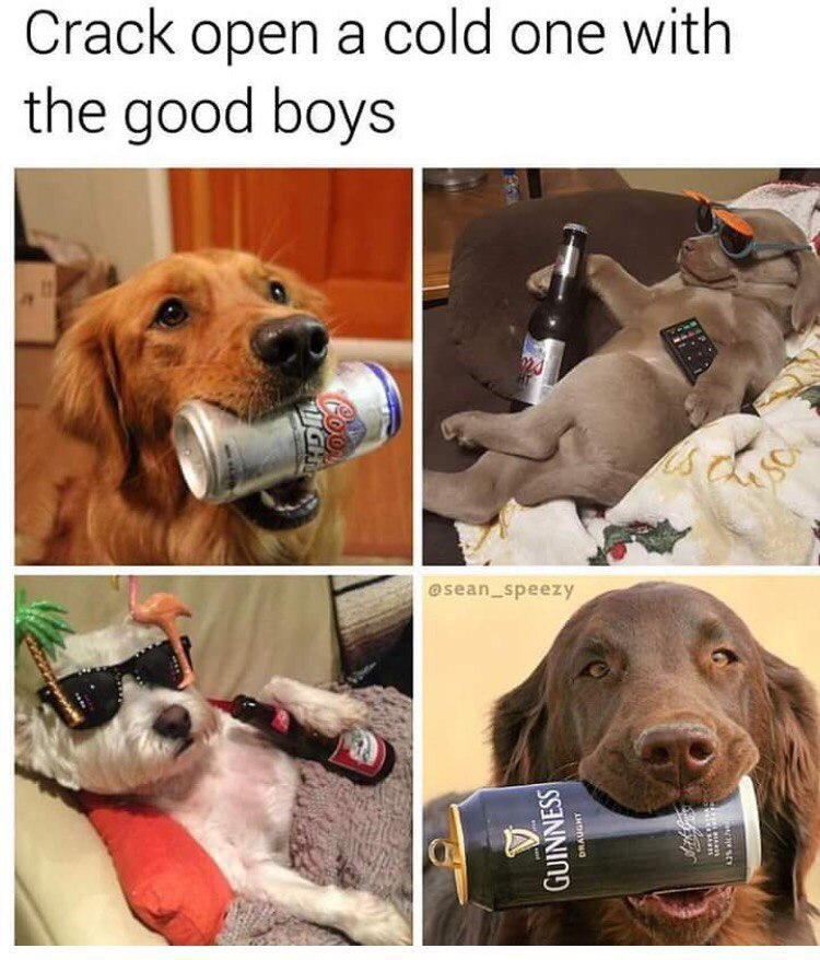Crack open а cold one with the good boys