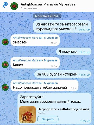 Ants/Moscow Магазин Муравьев Соединение... 5 декабря 2025 Здравствуйте заинтересовали уместен 09:53 Ants/Moscow Магазин Муравьев Уместен 10:50 A покупаю 10:52 Ants/Moscow Магазин Муравьев Kakux 10:52 