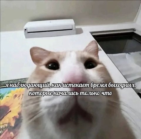 бремя выходных начались только что у