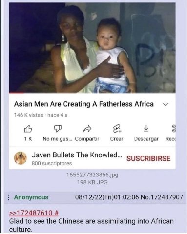 А Asian Men Are Creating A Fatherless Africa 146 К vistas 4 а A 8 у 8 No me gus... Compartir Crear Descargar Recc The Knowled... SUSCRIBIRSE 1655277323866.jpg 198 JPG Anonymous 08/12/22(Fri)01:02:06 N