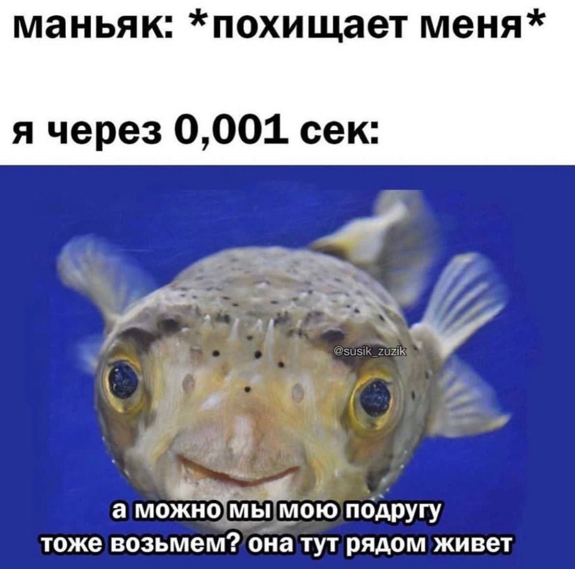 маньяк: *похищает меня* я через 0,001 сек: a подругу тоже возьмем? она тут рядом живет