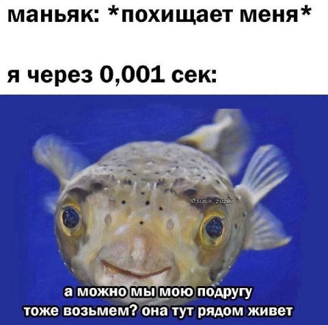 маньяк: *похищает меня* я через 0,001 сек: a подругу тоже возьмем? она тут рядом живет