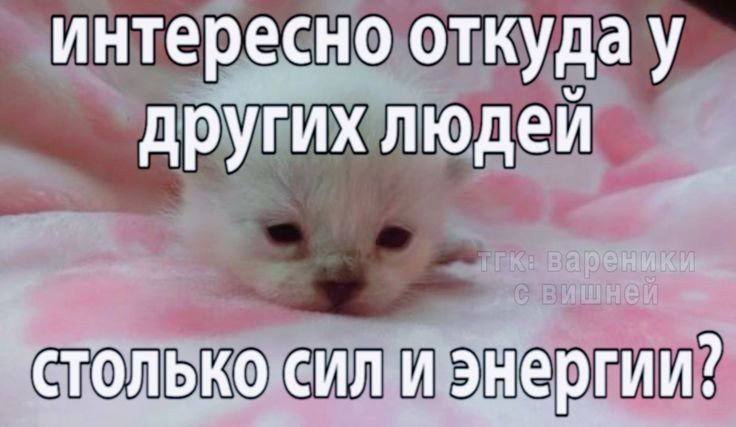 интересно других людеи столько сил и энергии!