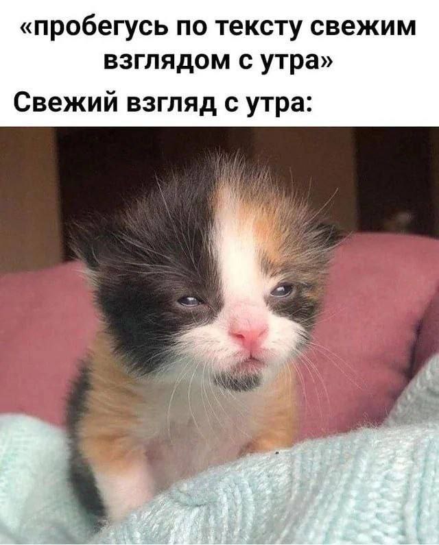 с проснутием
