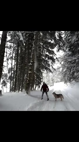 мем