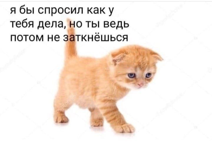 я бы спросил тебя дела, но ты ведь потом не заткнёшься у 2