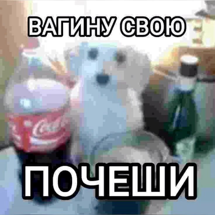 ПОЧЕШИ
