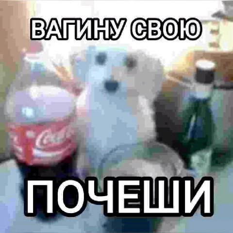 ПОЧЕШИ