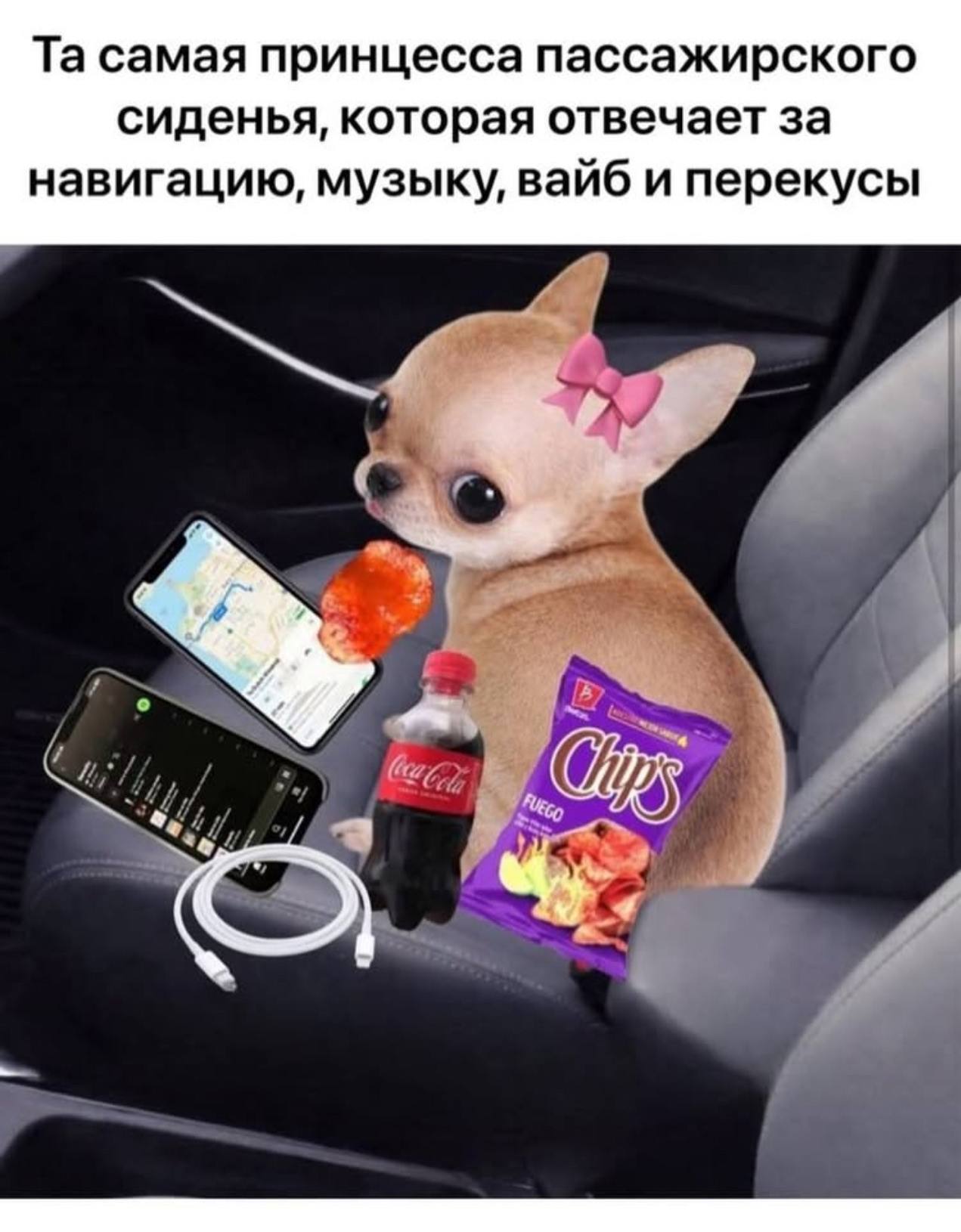 самая принцесса пассажирского сиденья, которая отвечает за навигацию, музыку, вайб и перекусы с