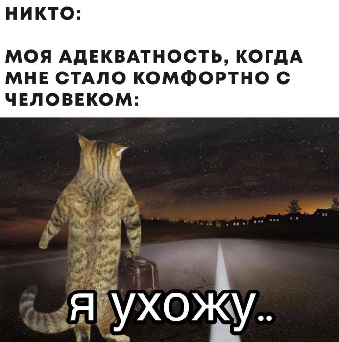 НИКТО МОЯ АДЕКВАТНОСТЬ, КОГДА МНЕ СТАЛО КОМФОРТНО С ЧЕЛОВЕКОМ