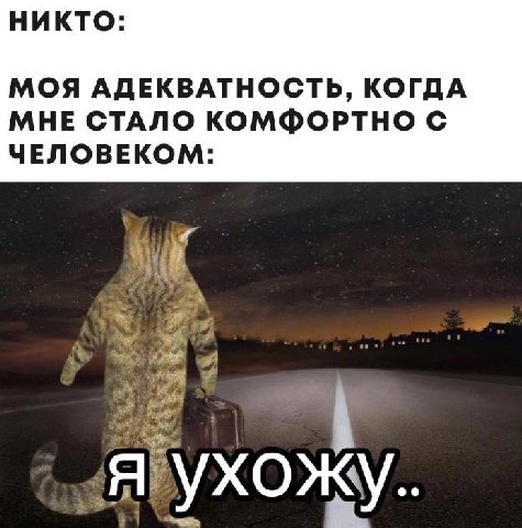 НИКТО МОЯ АДЕКВАТНОСТЬ, КОГДА МНЕ СТАЛО КОМФОРТНО С ЧЕЛОВЕКОМ