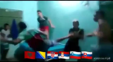 roronoa.mp4
