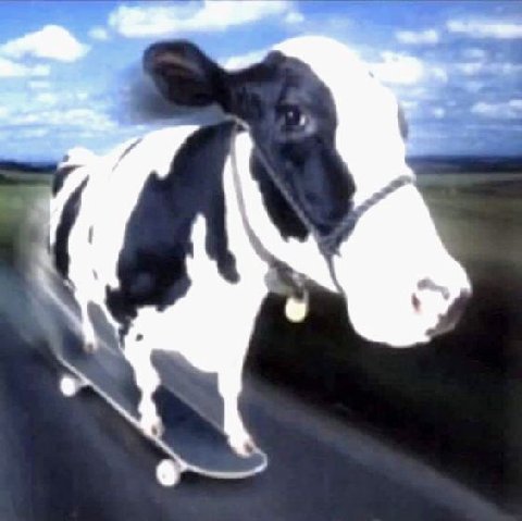 т.