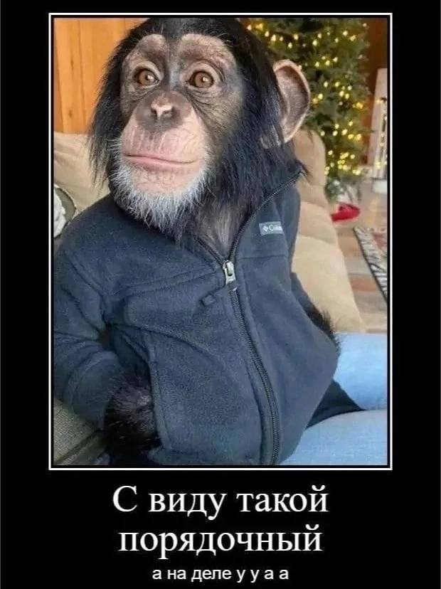 С виду такой порядочный а на делеууаа
