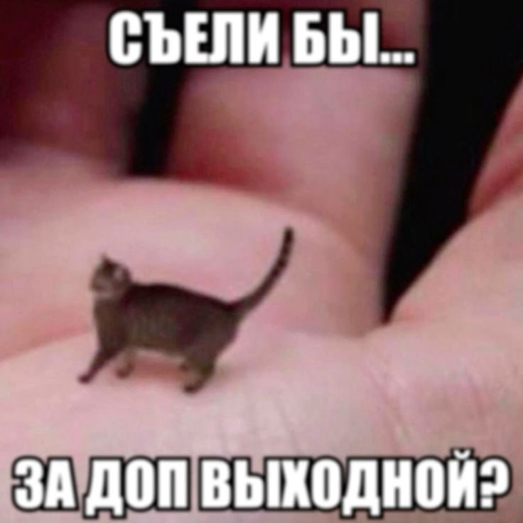 СЪЕЛИ bbl... ЗА ДОП