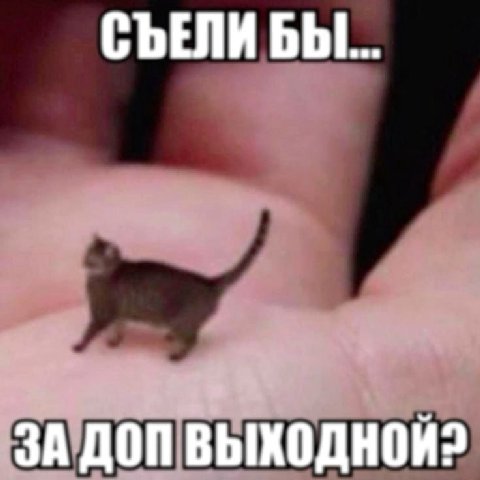 СЪЕЛИ bbl... ЗА ДОП