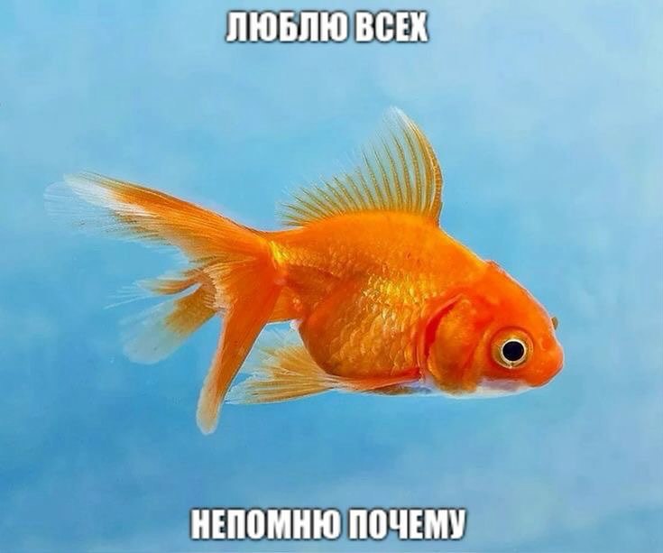 ЛЮБЛЮ BCEX НЕПОМНЮ ПОЧЕМУ