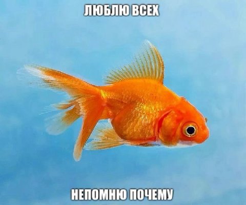 ЛЮБЛЮ BCEX НЕПОМНЮ ПОЧЕМУ