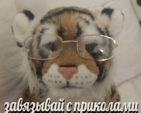 забяз с приколами