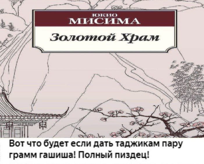 мисим А Золотой be a Ser OR Вот что будет если дать таджикам пару грамм гашиша! Полный пиздец!