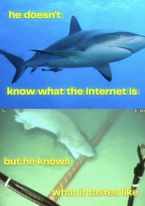 he doesn't know what the internet is but he:knows: whatfititastes:like
