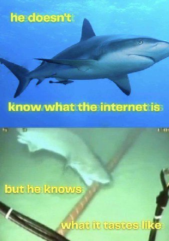 he doesn't know what the internet is but he:knows: whatfititastes:like