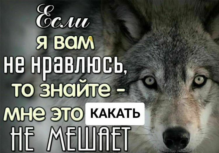 COOL A BAM HE нравлюсь, ТО знайте КАКАТЬ