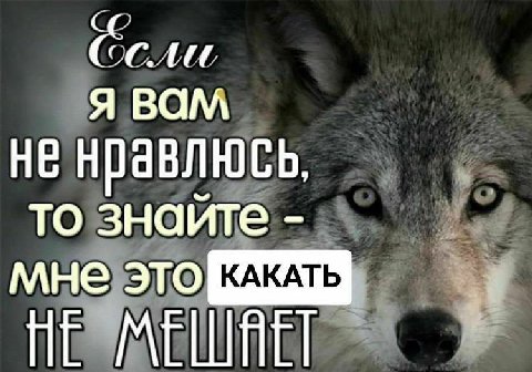 COOL A BAM HE нравлюсь, ТО знайте КАКАТЬ