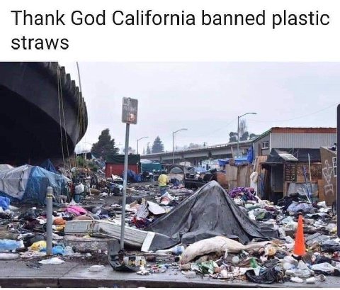 Thank God California banned plastic straws ‘NO if