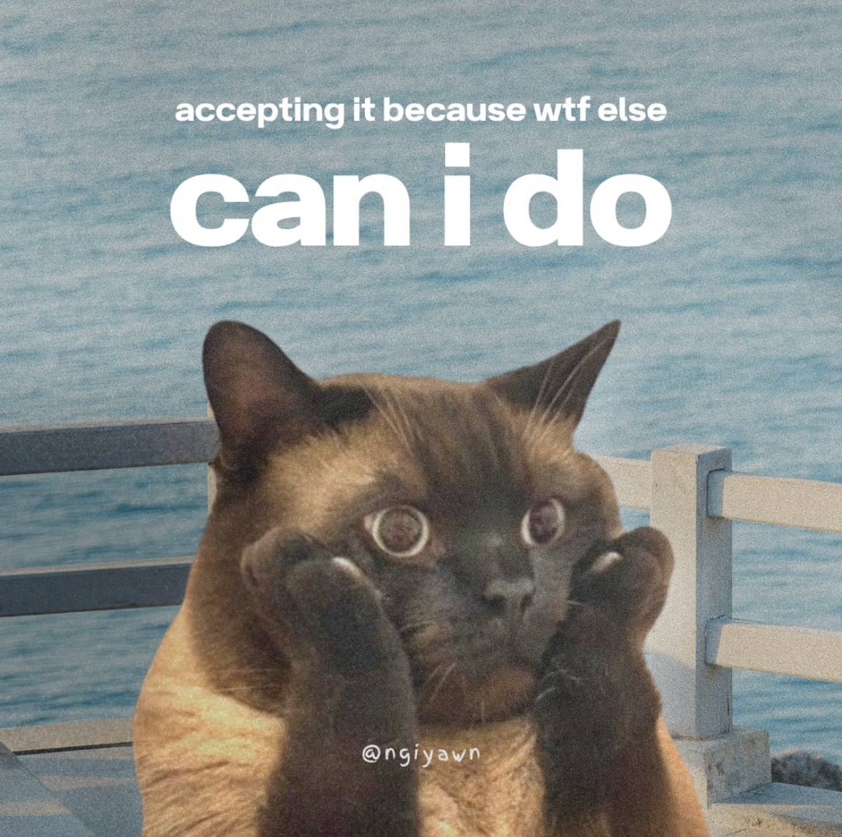accepting it because wtf else canido
