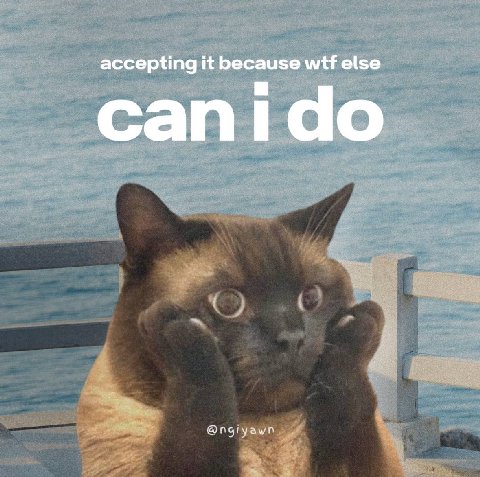 accepting it because wtf else canido