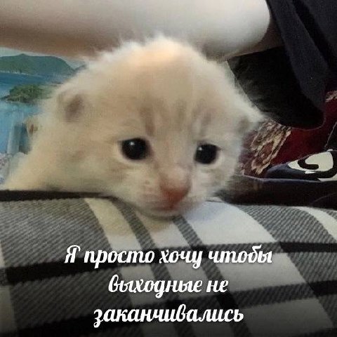 Я’ просто хочу чтоды быходные не заканчивались