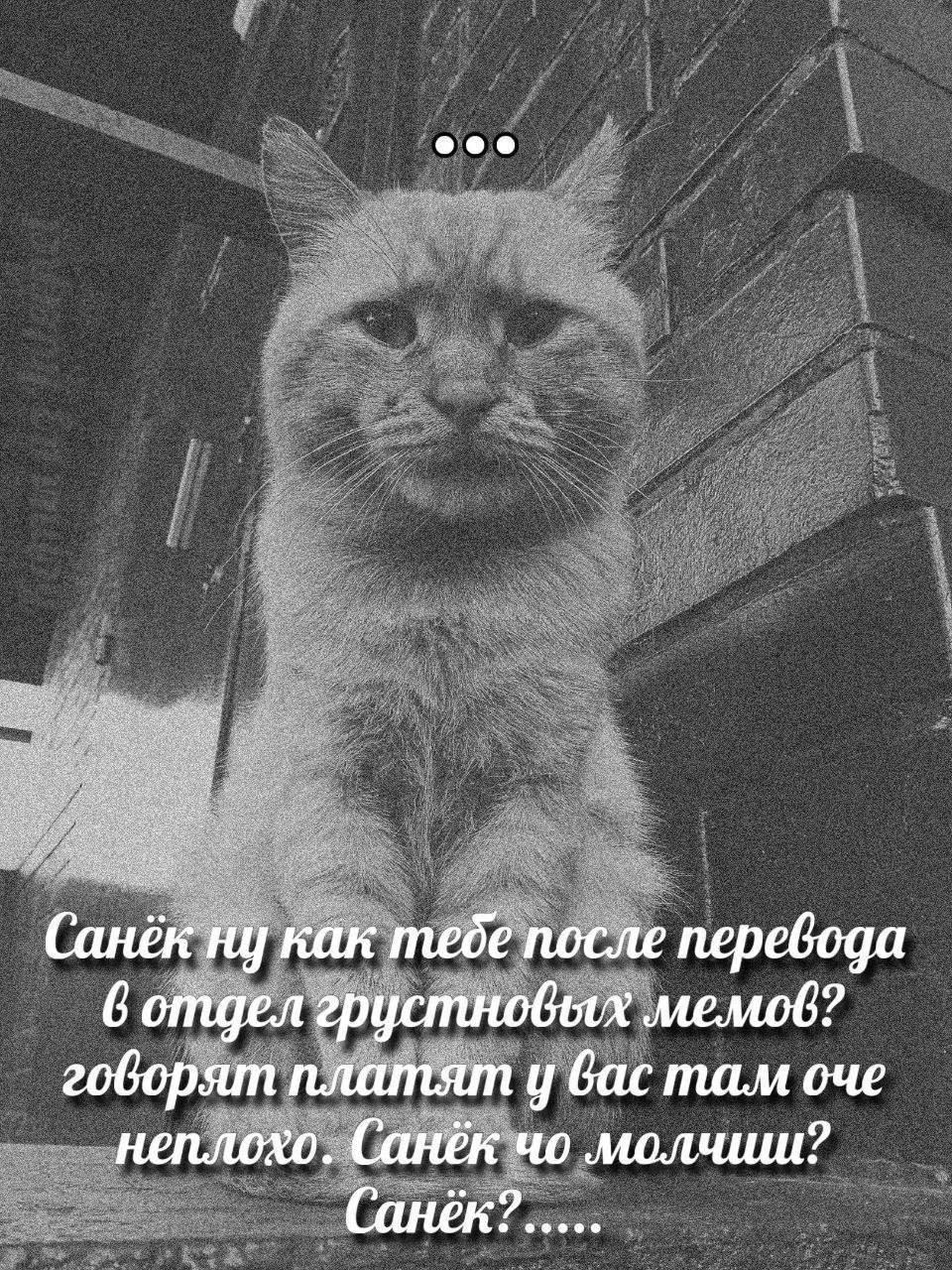 eee Санёк перевода 6 отдел грустновых мемов гоборят платят у вас там неплохо. Санёк молчиш? Санёк?.....