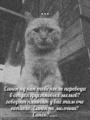 eee Санёк перевода 6 отдел грустновых мемов гоборят платят у вас там неплохо. Санёк молчиш? Санёк?.....