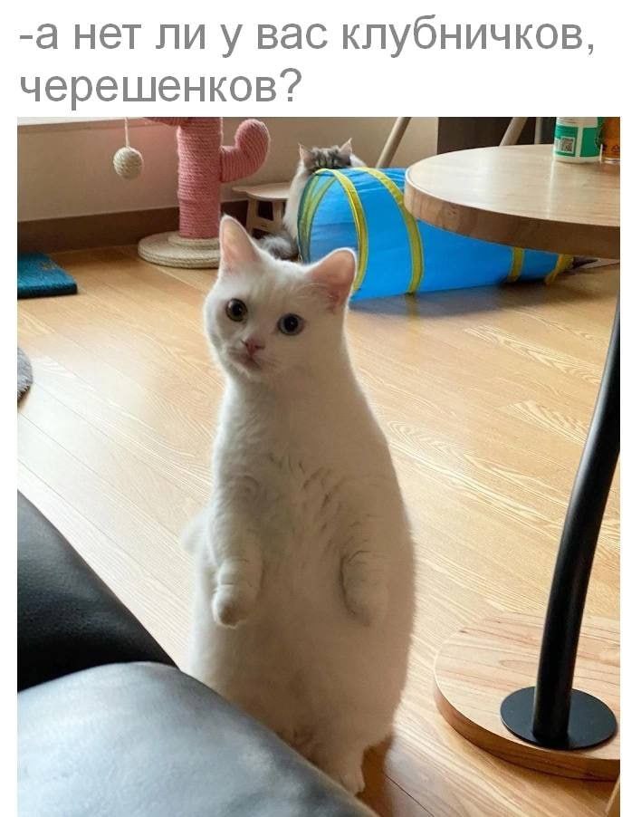 -а нет ли у вас клубничков, черешенков?