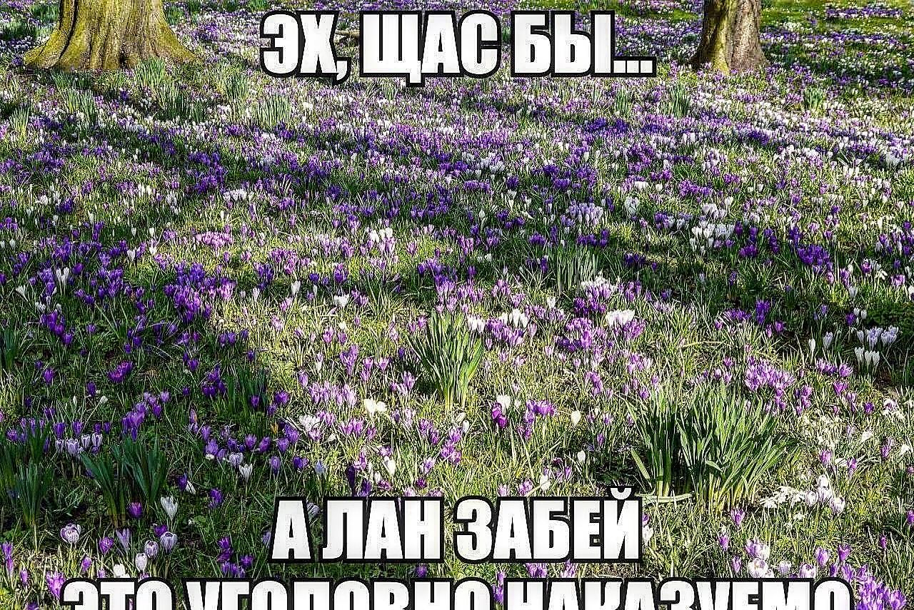 if “у К i i у aly) a att AN A} i {0 i и Vat 1 a i и an AN We i 44 У AN И i BAS, И gun А i у i у shall у vig И i a A В i ЛАН БЕЙ a Ты