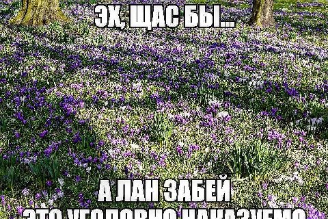 if “у К i i у aly) a att AN A} i {0 i и Vat 1 a i и an AN We i 44 У AN И i BAS, И gun А i у i у shall у vig И i a A В i ЛАН БЕЙ a Ты