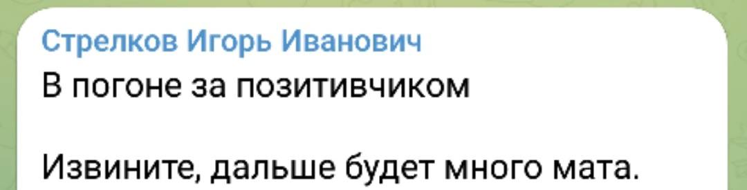 Стрелков Игорь Иванович В погоне за позитивчиком Извините, дальше будет много мата.