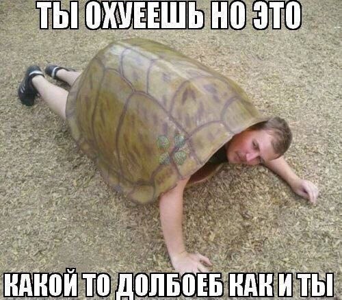 ТЫ ОХУЕЕШЬ ЭТО 7 roan В НАКОЙ TO ДОЛБО