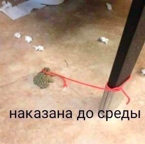 наказана до