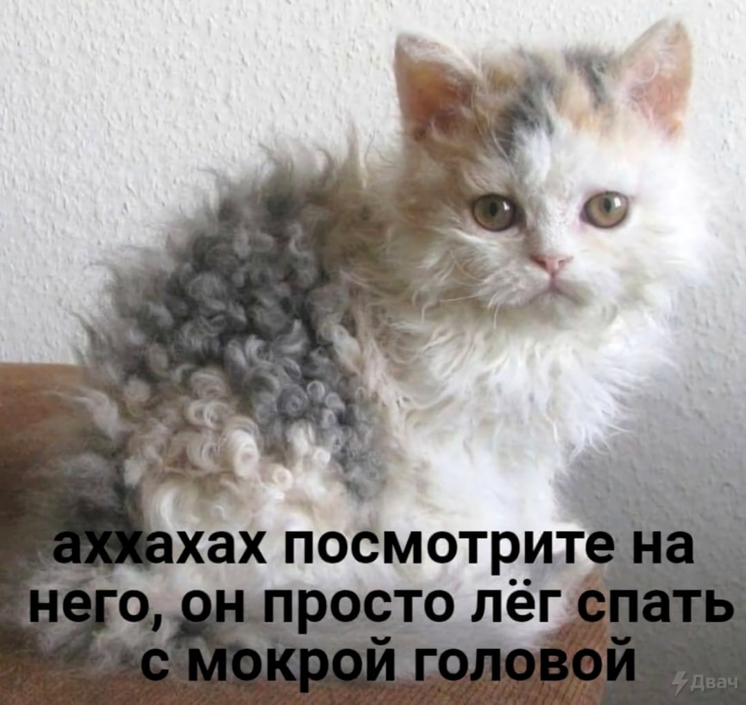 ахах посмотрите 1 сто лег
