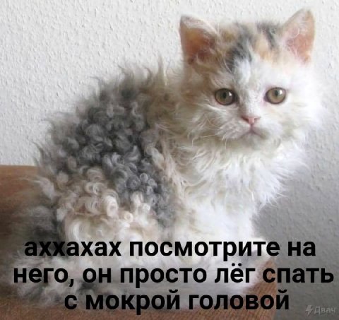 ахах посмотрите 1 сто лег