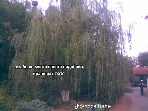 К at $4 там было много просто подобных красивых фото @cocaibabe