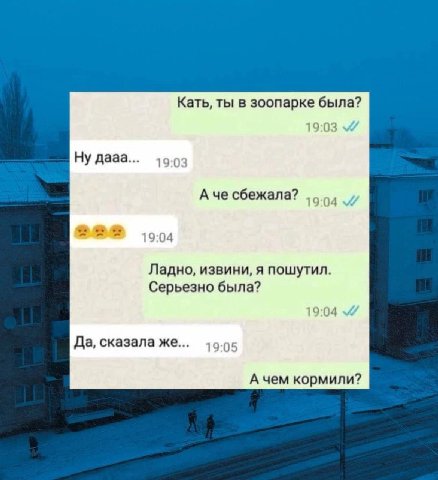 Кать, ты в зоопарке была? 19:03 Ну дааа... А че сбежала? a 19:04 Ладно, извини, я пошутил. Серьезно была? Да, сказала же... А чем кормили?