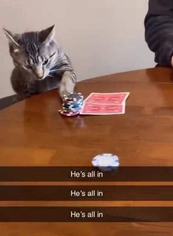 Не’$ а! He’s all in He’s